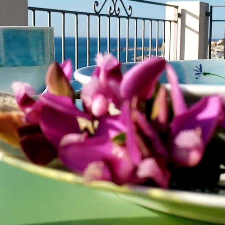 Agriturismo La Tuffatrice 임페리아 외부 사진