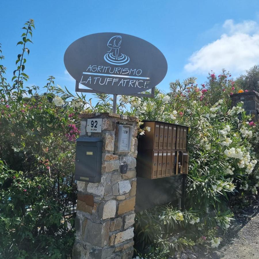 Agriturismo La Tuffatrice 임페리아 외부 사진