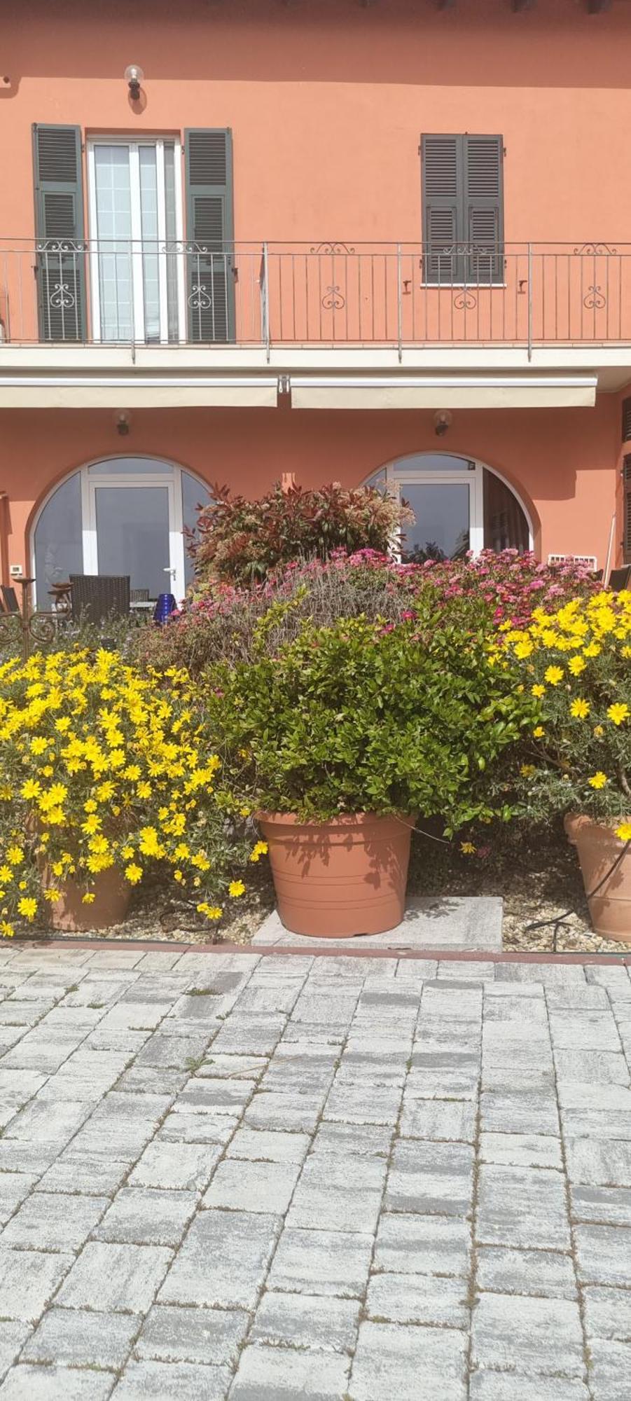 Agriturismo La Tuffatrice 임페리아 외부 사진